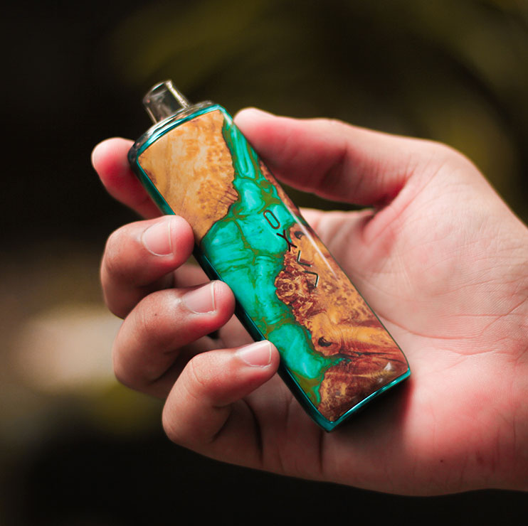 Person Holding Green and Brown Vape